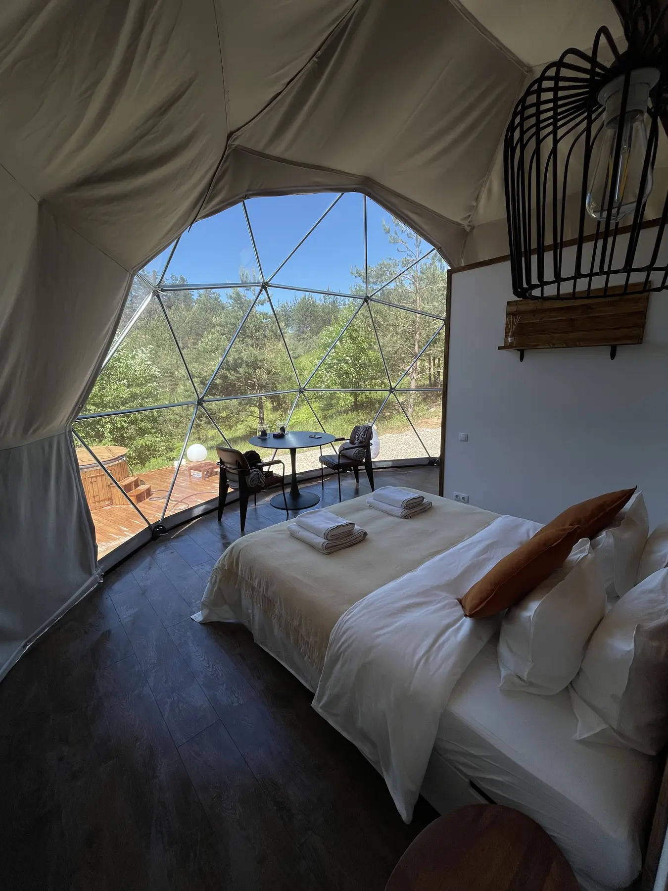 Forest Dome interior overlooking the landscape